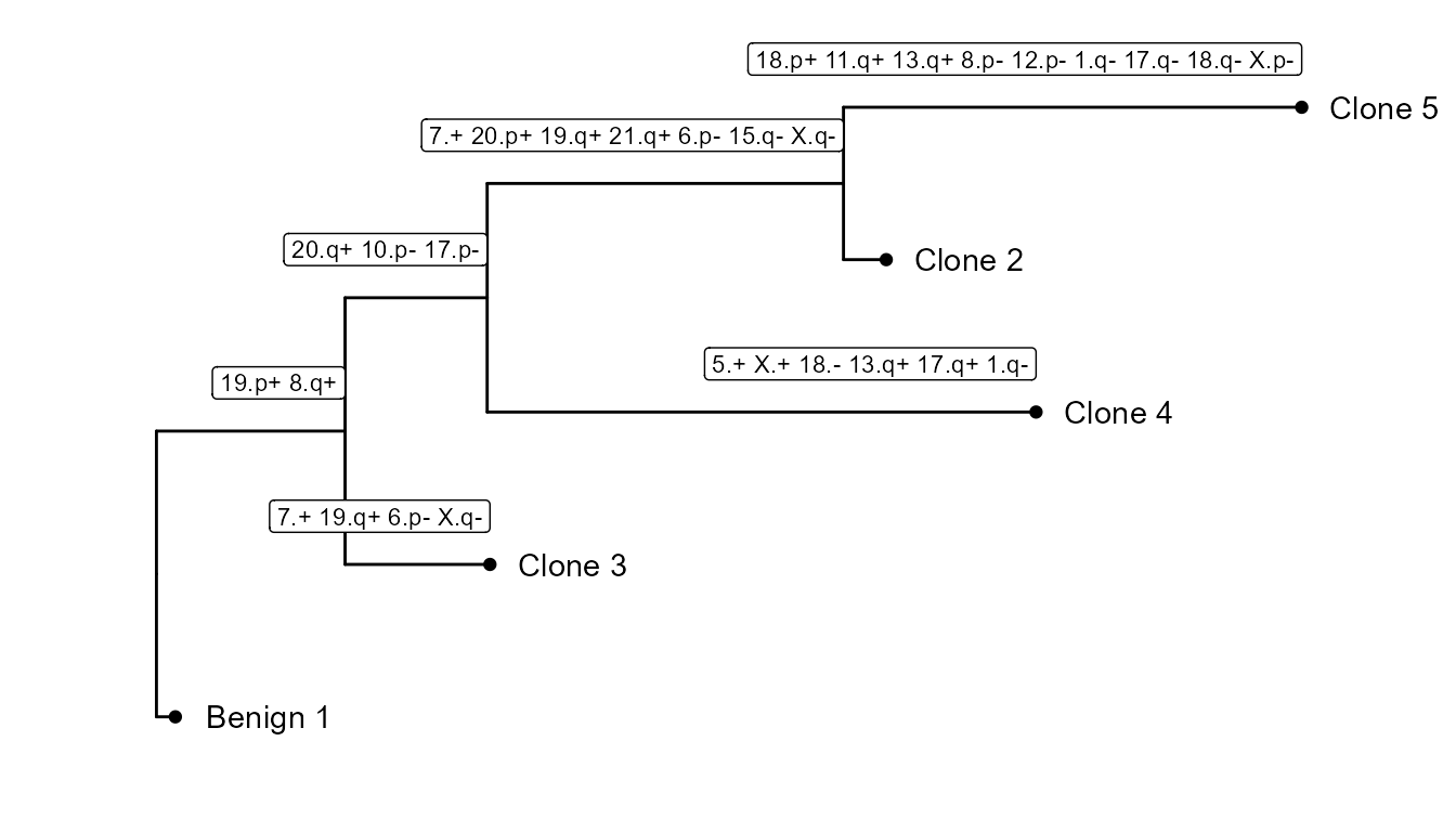 Subclonality tree